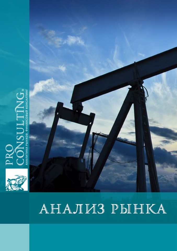 Паспорт розничной торговли нефтепродуктами и сопутствующими товарами Украины. 2006 год